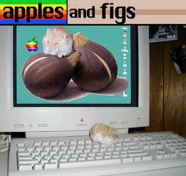 apples and figs