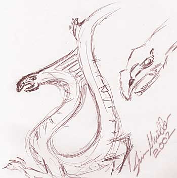 Rohric dragon andirons